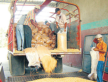 haga click para ampliar la imagen