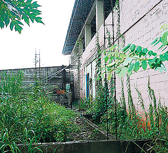 haga click para ampliar la imagen