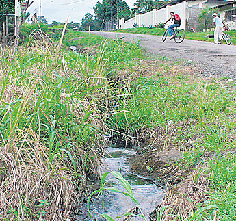 haga click para ampliar la imagen