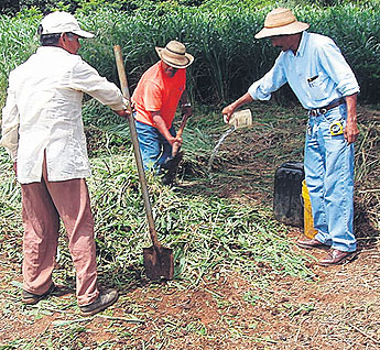 haga click para ampliar la imagen
