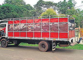 haga click para ampliar la imagen