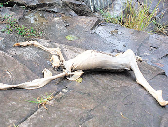 haga click para ampliar la imagen