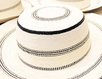 haga click para ampliar la imagen