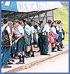 Imagen foto
