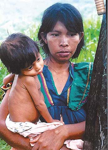 Imagen foto