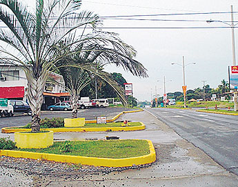 haga click para ampliar la imagen