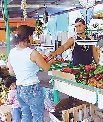 Imagen foto