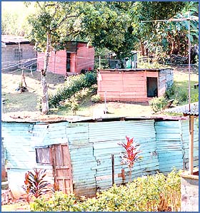 Imagen foto
