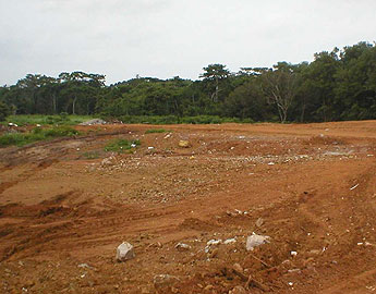 haga click para ampliar la imagen