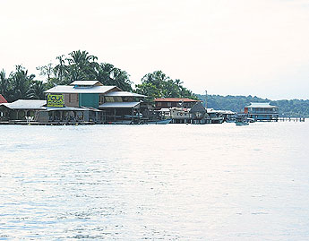 haga click para ampliar la imagen