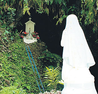 haga click para ampliar la imagen