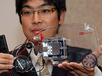 haga click para ampliar la imagen