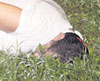 haga click para ampliar la imagen