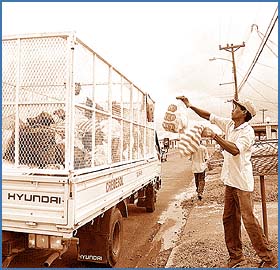 Imagen foto