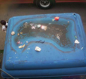 Imagen foto