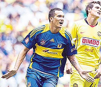 haga click para ampliar la imagen