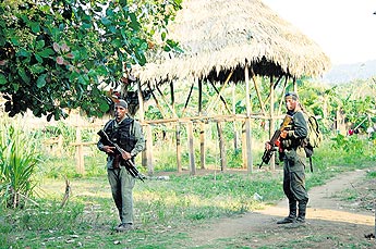 haga click para ampliar la imagen