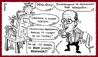 Imagen foto