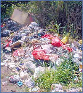 Imagen foto