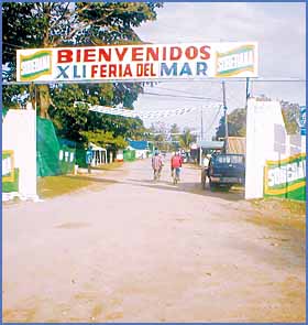 Imagen foto