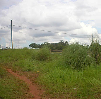 Imagen foto