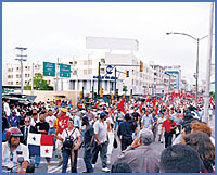 Imagen foto