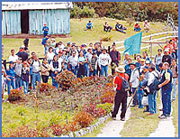 Imagen foto