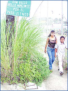 Imagen foto