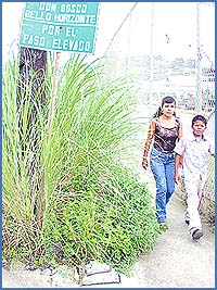 Imagen foto