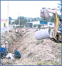 Imagen foto