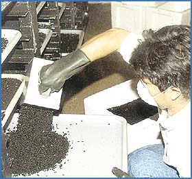 Imagen foto