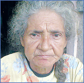 Imagen foto