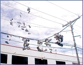 Imagen foto