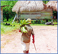 Imagen foto