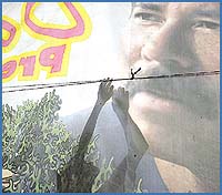 Imagen foto