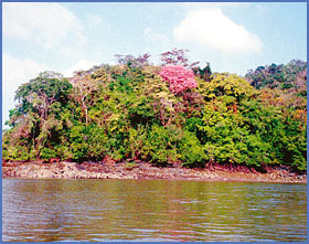 Imagen foto