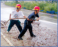 Imagen foto
