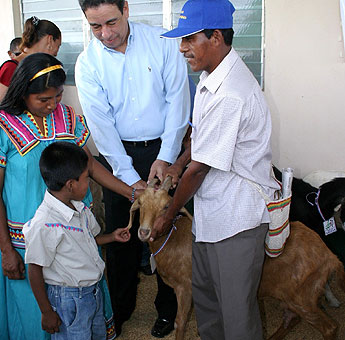 haga click para ampliar la imagen