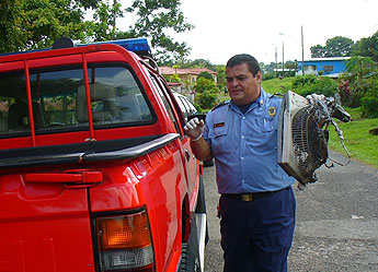 haga click para ampliar la imagen