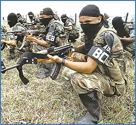 Imagen foto