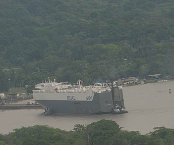 Imagen foto