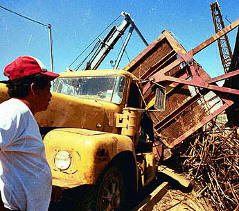 Imagen foto