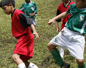 haga click para ampliar la imagen