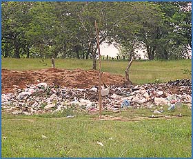 Imagen foto