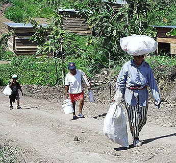Imagen foto