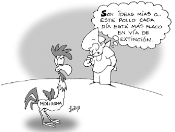 Imagen foto
