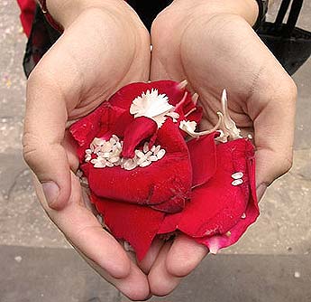 Imagen foto