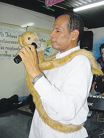 haga click para ampliar la imagen