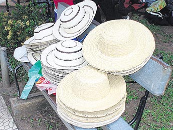 haga click para ampliar la imagen