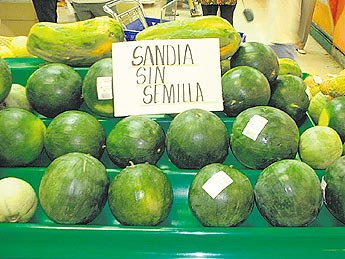 haga click para ampliar la imagen